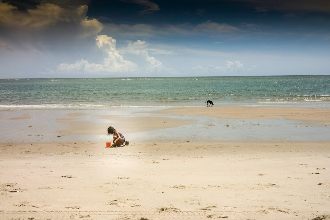 boy playing with dog on beach