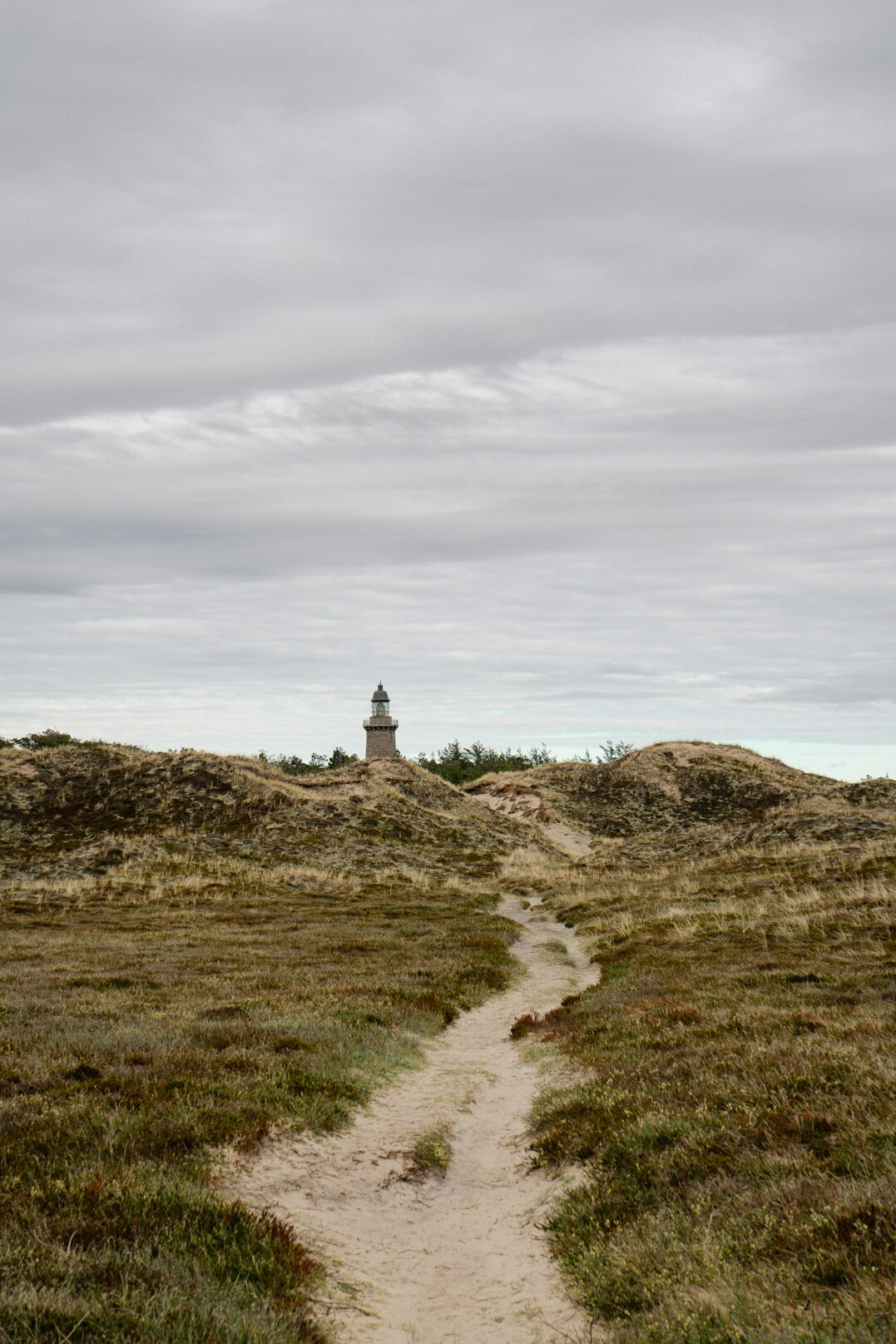 danish coastal landscape