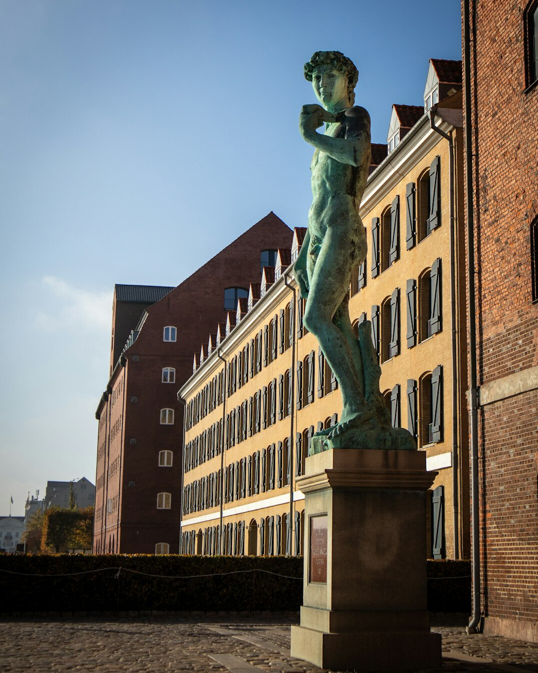 Portrait of a Danish male founder standing outdoors